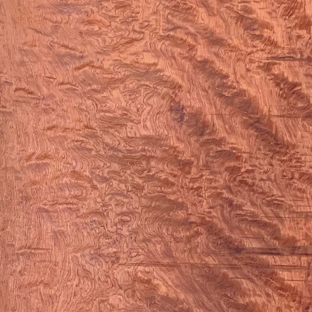 ブビンガ | 板蔵