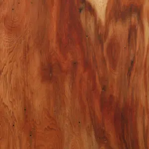 迫力！屋久杉の一枚板が勢揃い | 板蔵