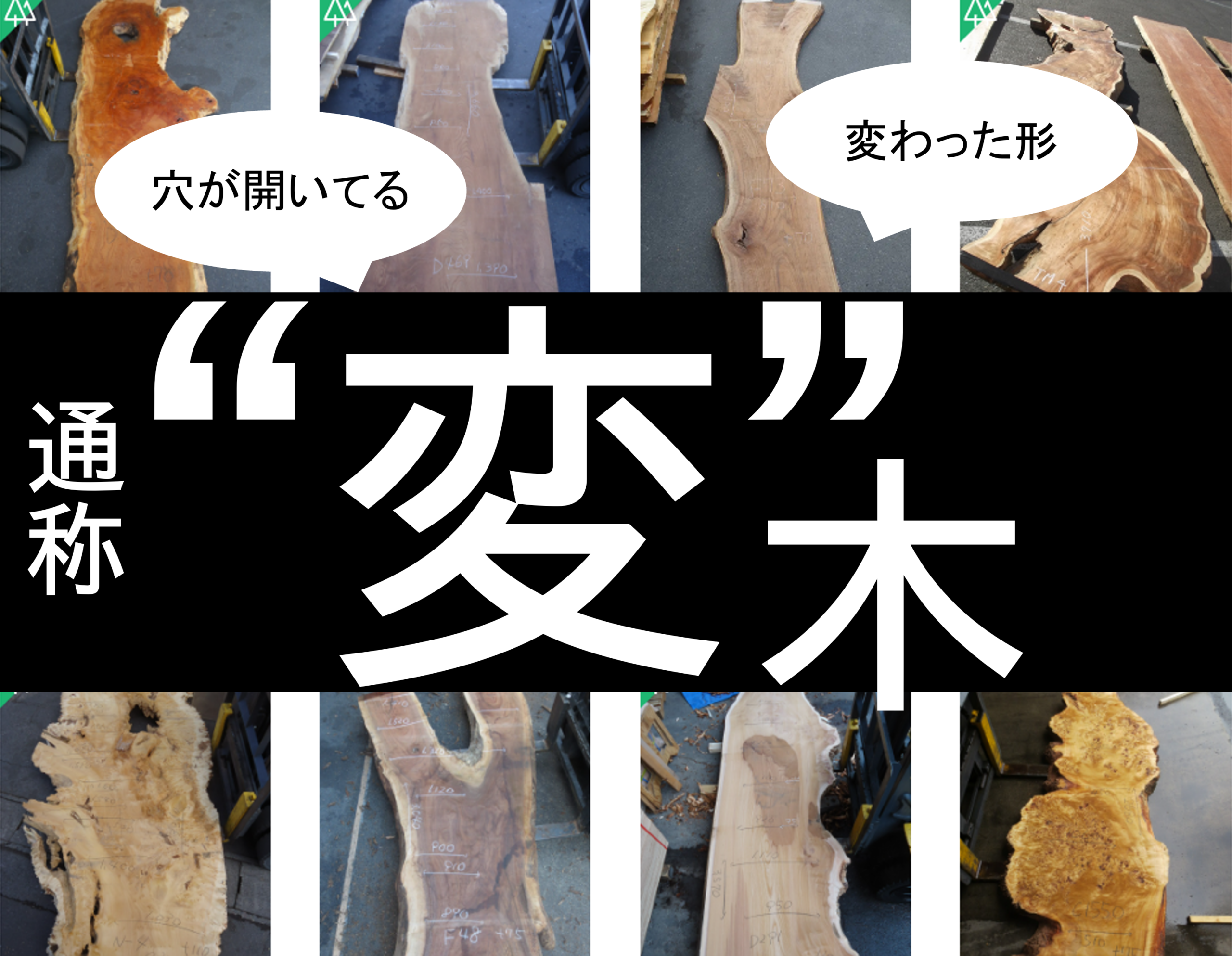 不思議な形の一枚板 | 板蔵