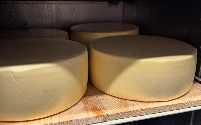 528746260_18020883494723891_5705111735720820149_n